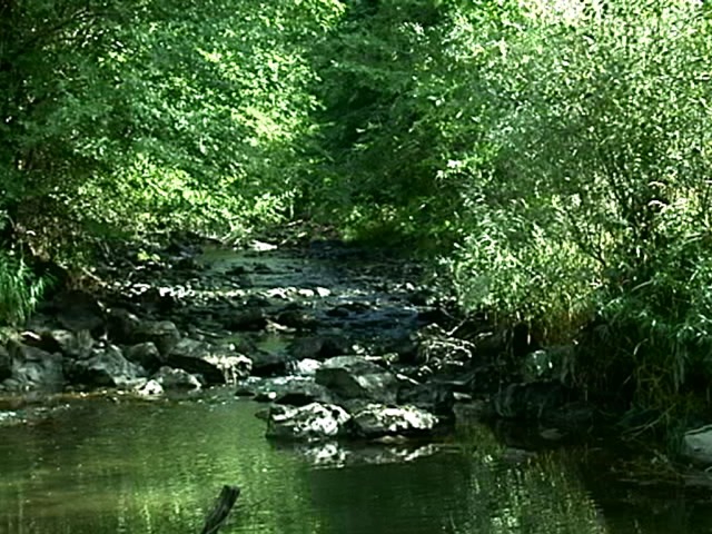 Joaquin Miller pics.207